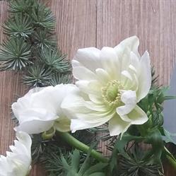 D'une Fleur A L'Autre, Pont-d'Ain - Horaires d'ouverture