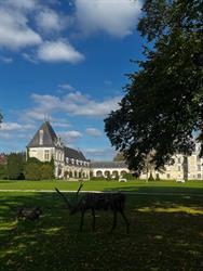 Château d'Azay-le-Ferron, - Horaires d'ouverture