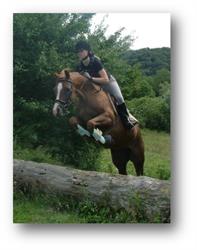 Centre Equestre de Chalain, Doucier - Horaires d'ouverture