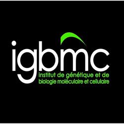 I.g.b.m.c. Umr 7104-U596 (Institut Génétique Biologie Moléculaire Cellulaire), Illkirch-Graffenstaden - Horaires d'ouverture