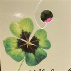 Millefeuilles, Le Russey - Horaires d'ouverture
