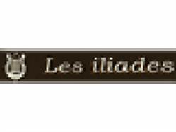 Les Iliades Gestion SAS, Mont-Saint-Aignan - Horaires d'ouverture
