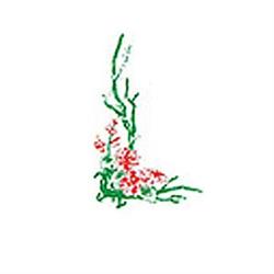 Dany Fleurs, Aigurande - Horaires d'ouverture