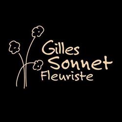 Gilles Sonnet, Fontaine-lès-Dijon - Horaires d'ouverture