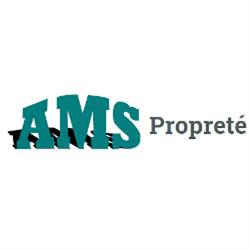 AMS Service Propreté, Carquefou - Horaires d'ouverture