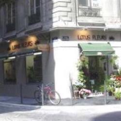 Lotus Fleurs, Lyon - Horaires d'ouverture