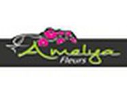 Amelya Fleurs, Aix-en-Provence - Horaires d'ouverture