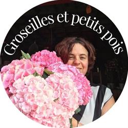 GROSEILLES ET PETIT POIS, Castres - Horaires d'ouverture