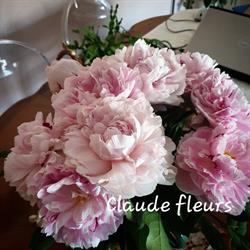 Claude Fleurs, Arles - Horaires d'ouverture