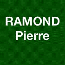 Pierre Ramond - Masseur, Kinésithérapeute, Podologues, Pédicure, Albi - Horaires d'ouverture