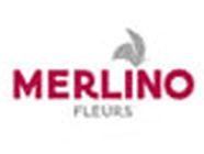 Merlino Fleurs De Metz, - Horaires d'ouverture