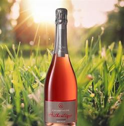 Champagne Guy Niziolek et Fils, Damery - Horaires d'ouverture