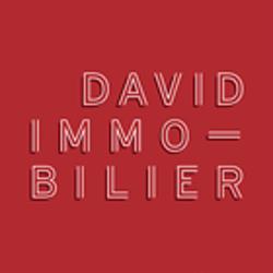 David Immobilier, Paris - Horaires d'ouverture