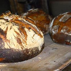 A la Recherche du Pain Perdu Sàrl, Bordeaux - Horaires d'ouverture