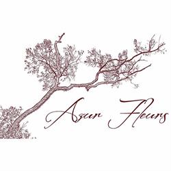 Azur Fleurs - Fleuriste Nice, - Horaires d'ouverture