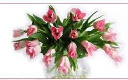 Les Bouquets D'asters, Paris - Horaires d'ouverture