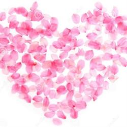 Le Coeur de Rose, Desvres - Horaires d'ouverture