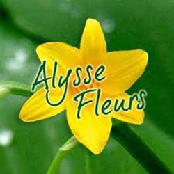 Alysse Fleurs, Panazol - Horaires d'ouverture