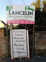 Lancelin Fleurs, Busigny - Horaires d'ouverture