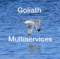 Goliath Multiservices, Villeurbanne - Horaires d'ouverture