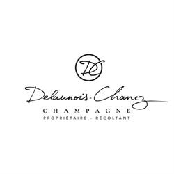 Champagne Delaunois Chanez, Rilly-la-Montagne - Horaires d'ouverture
