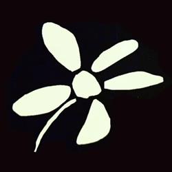 Un Peu Beaucoup Fleuriste, Nice - Horaires d'ouverture