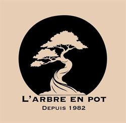 Bonsaï L'arbre en Pot, Toulouse - Horaires d'ouverture