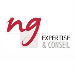 NG Expertise et Conseil, Labège - Horaires d'ouverture