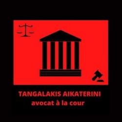 Tangalakis Aikaterini - Avocat Droit des Étrangers Paris, - Horaires d'ouverture