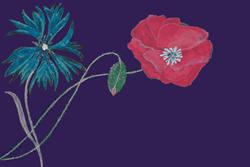 Bleuet Coquelicot, Paris - Horaires d'ouverture