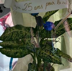 Ludovic Coiffure, Andres - Horaires d'ouverture