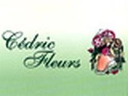 Cédric Fleurs, Nice - Horaires d'ouverture