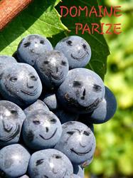 Parize Père Et Fils, Givry - Horaires d'ouverture