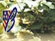 Vincent Besson, Solutré-Pouilly - Horaires d'ouverture