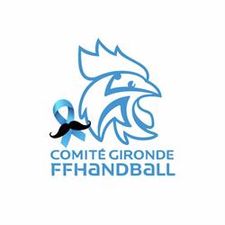 Comité de Gironde de Hand Ball, Mérignac - Horaires d'ouverture