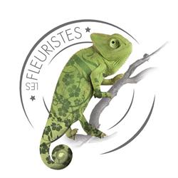 Les fleuristes Nice, - Horaires d'ouverture