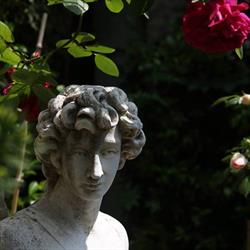 Hôtel Jardins Secrets, Nîmes - Horaires d'ouverture