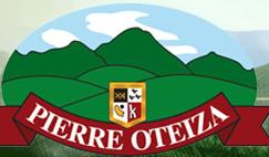 Pierre Oteiza, Paris - Horaires d'ouverture