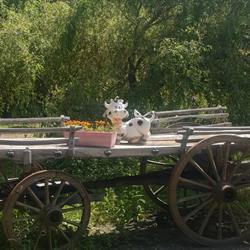 Camping La Porte Saint Martin, Saint-Martin-en-Vercors - Horaires d'ouverture