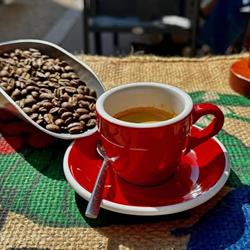 Cafés Allombert Torrefacteur Bourg en Bresse, Bourg-en-Bresse - Horaires d'ouverture