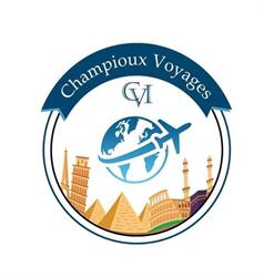 CHAMPIOUX VOYAGES INTERNATIONAL LILLE, Lille - Horaires d'ouverture