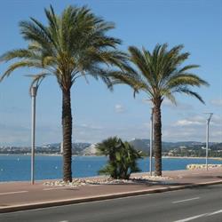 Jt Immobilier, Cagnes-sur-Mer - Horaires d'ouverture