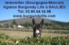 Agence Burgundy Life, Saulieu - Horaires d'ouverture