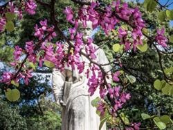 Jardins des Plantes, Montpellier - Horaires d'ouverture