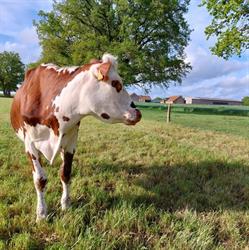 Ferme Des Pochats, Yzeure - Horaires d'ouverture