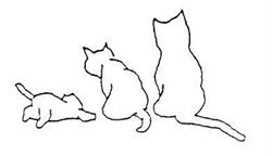 Association Aide aux Animaux en Détresse, Saulx-les-Chartreux - Horaires d'ouverture
