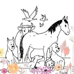 Société Protectrice Des Animaux - S.p.a., Strasbourg - Horaires d'ouverture