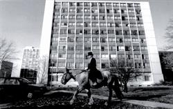 La Ferme Du Bonheur, Nanterre - Horaires d'ouverture