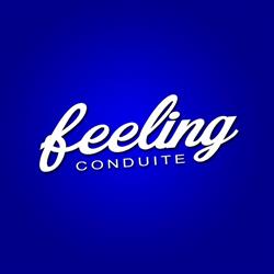 Feeling Conduite, Colomiers - Horaires d'ouverture