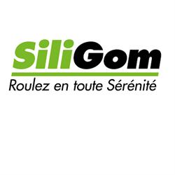 Siligom Pro Car SARL, Viggianello - Horaires d'ouverture